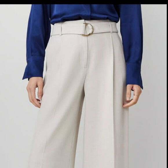 ANN TAYLOR THE PLEATED WIDE LEG PANT PALE SAND TAN CREAM $139 6 - Picture 4 of 10